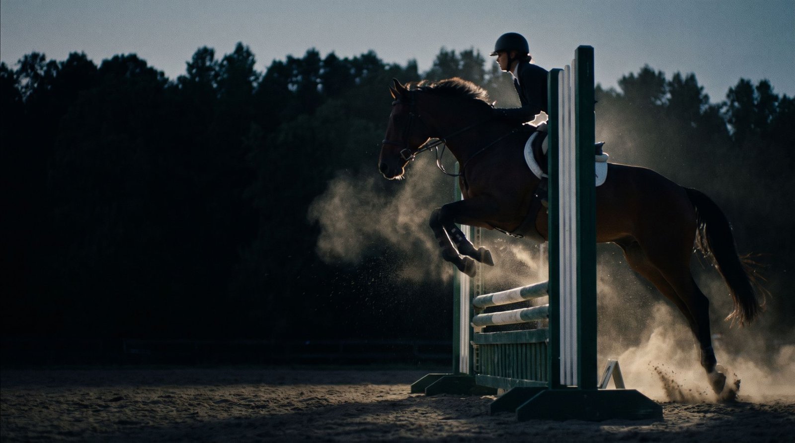 Silueta de caballo y jinete sobre un obstáculo.