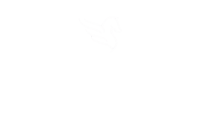 World Show Jumping Initiative (WSI)